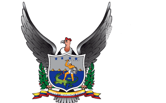 Policia nacionalk